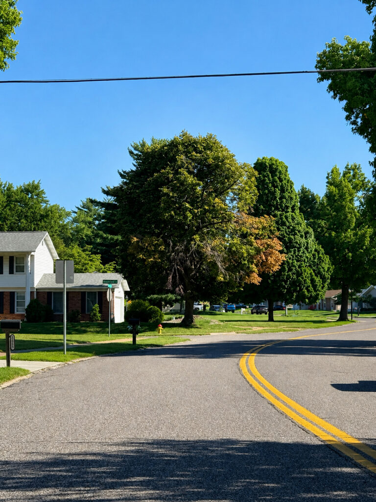 wide tree-lined neighborhood street image